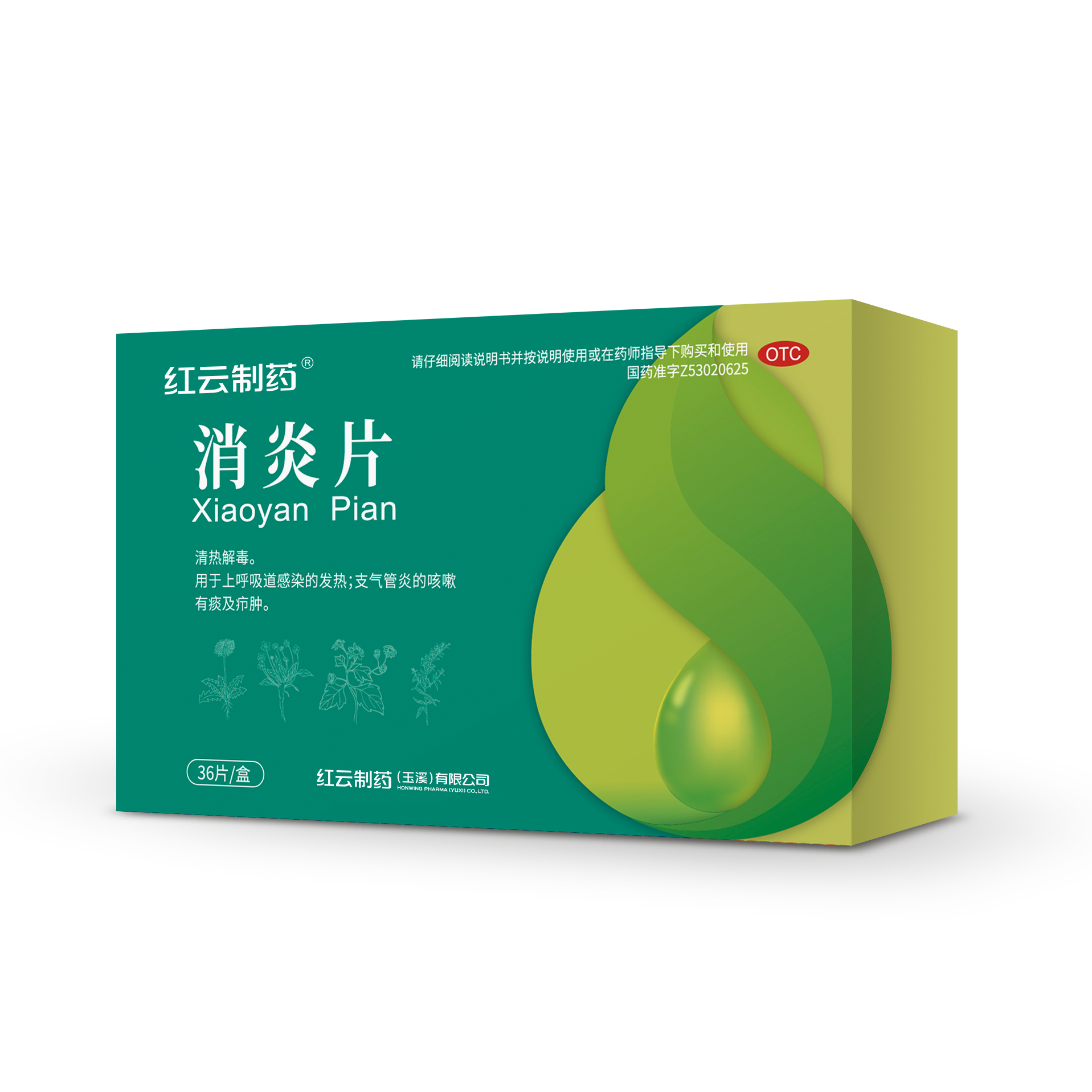 <dt>藥品名稱</dt><dd>消炎片</dd>